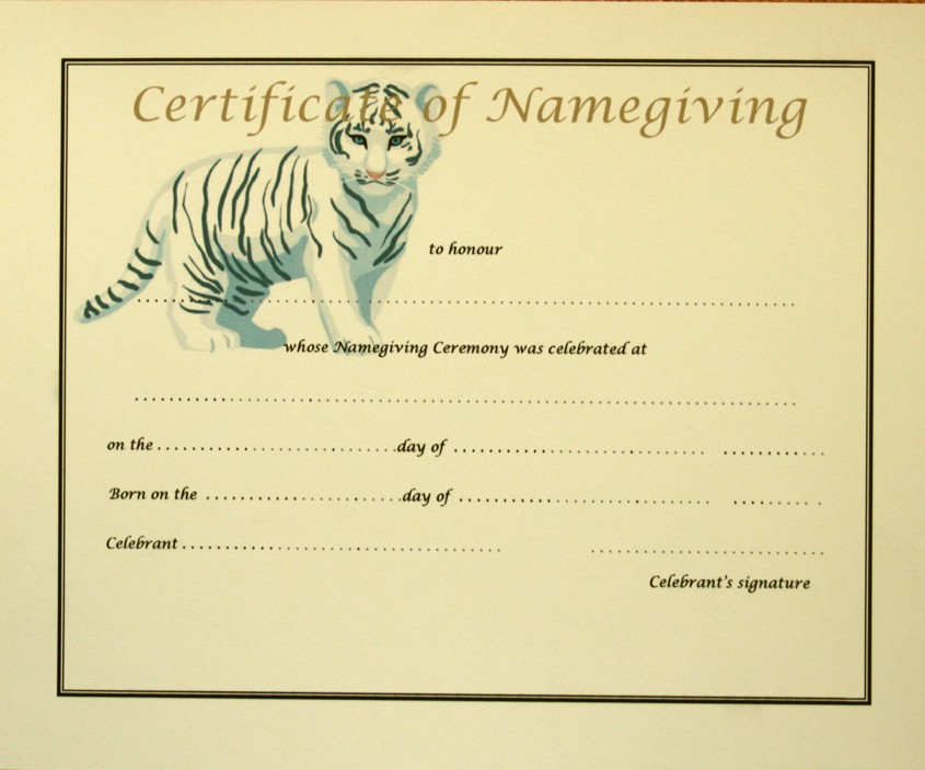 Final Cert Namegiving Tiger